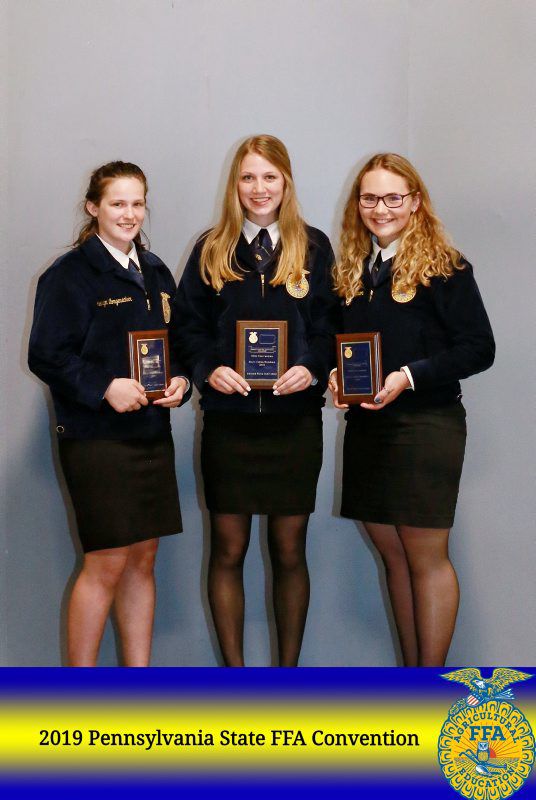 Dairy Cattle Showmanship Individuals